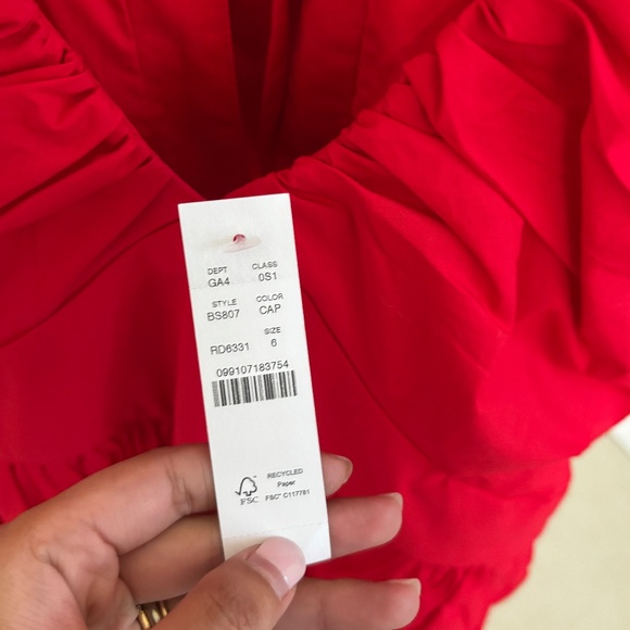 NWT J. Crew Cecily Dress in Cotton Poplin - Picture 6 of 6